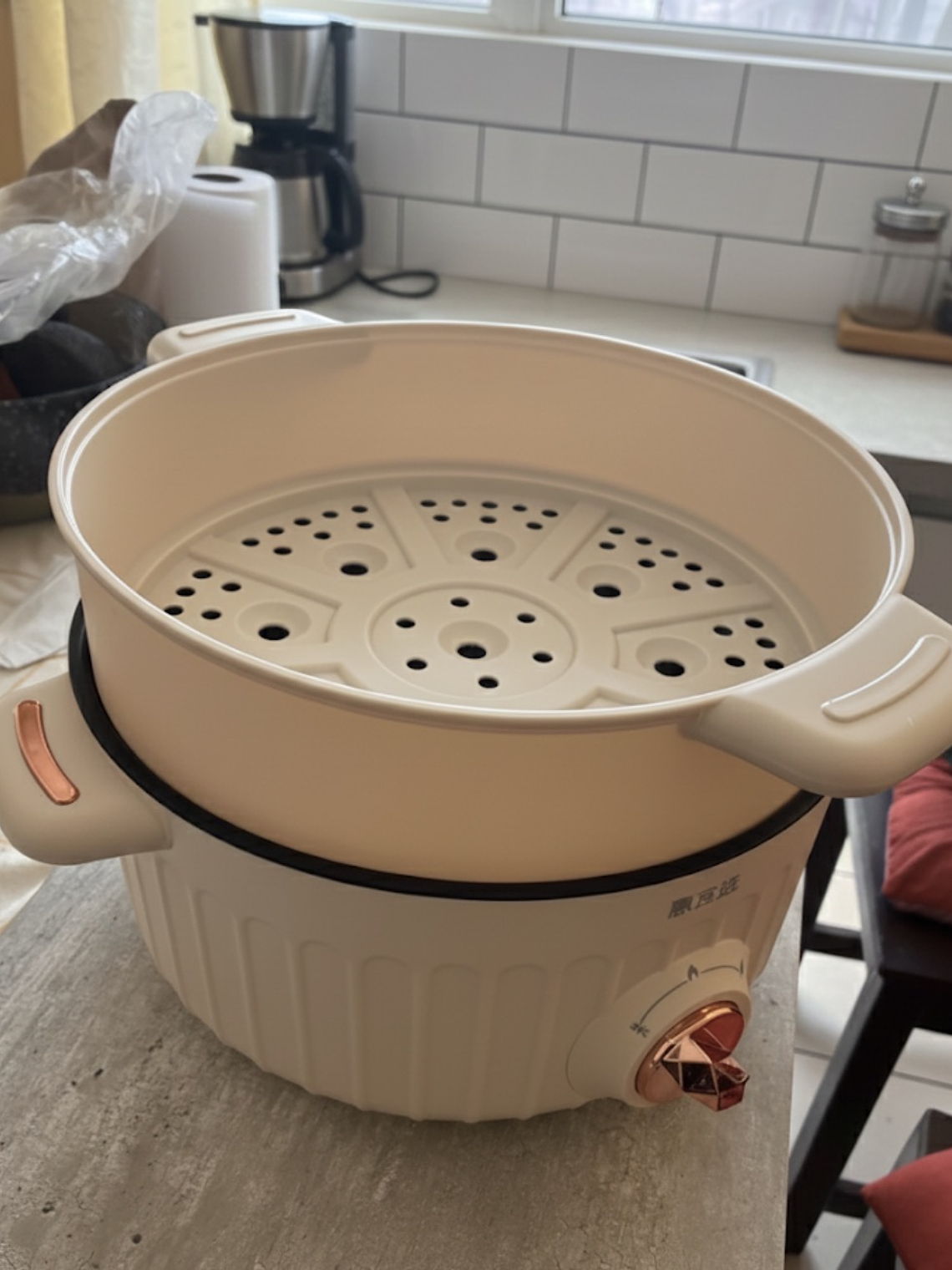 Olla Eléctrica Arrocera y Vaporera 2