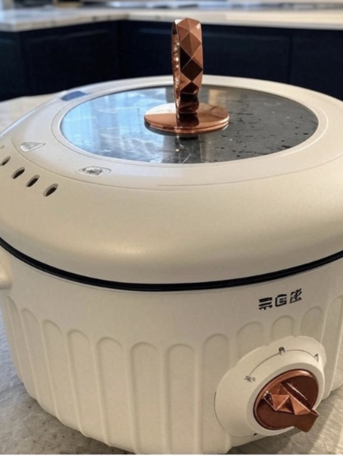 Olla Eléctrica Arrocera y Vaporera 4