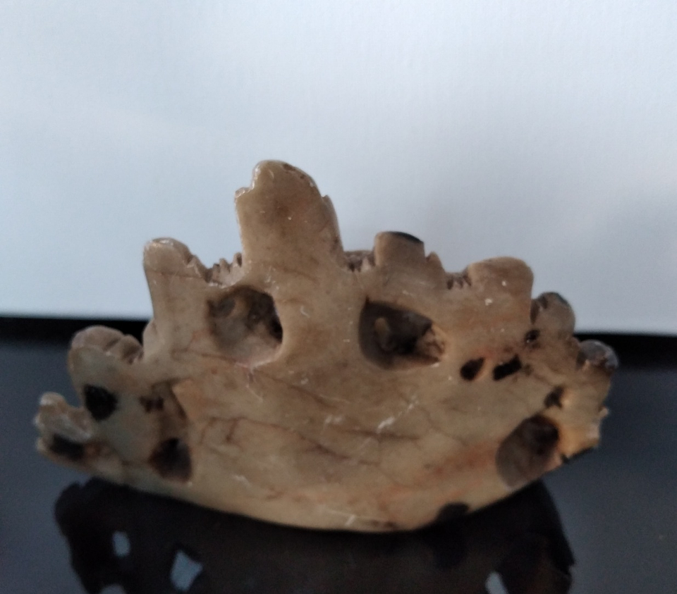 Escultura em pedra dura 3