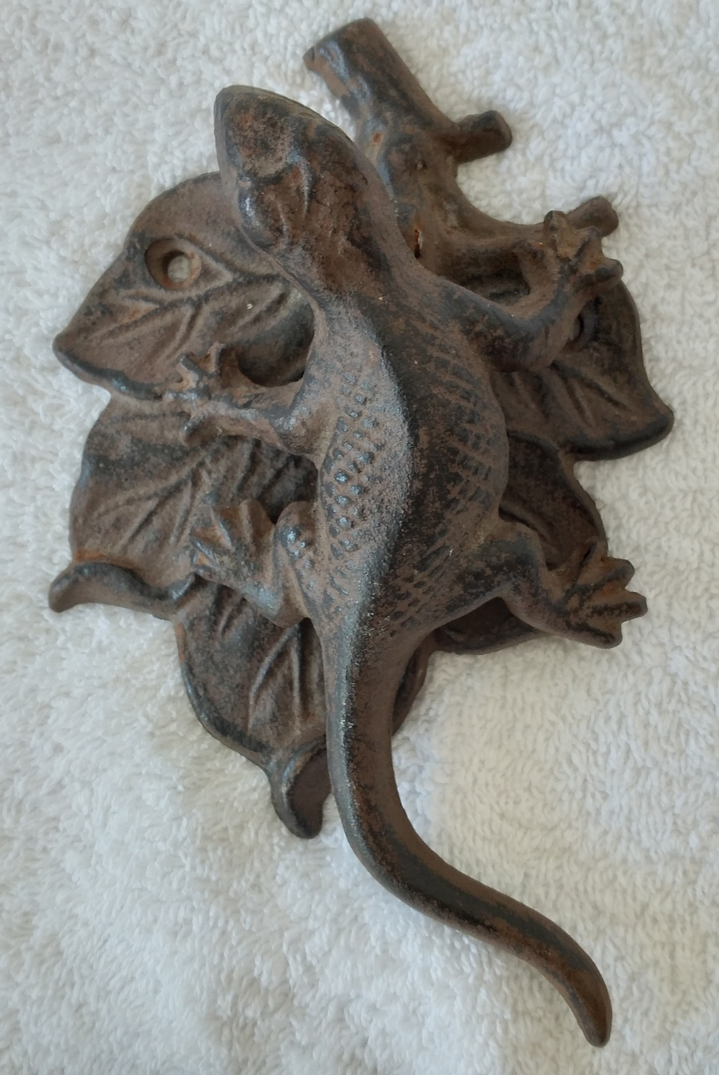 Aldraba salamandra  1