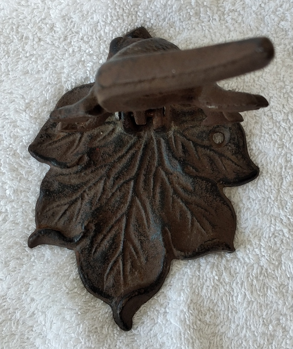 Aldraba salamandra  2