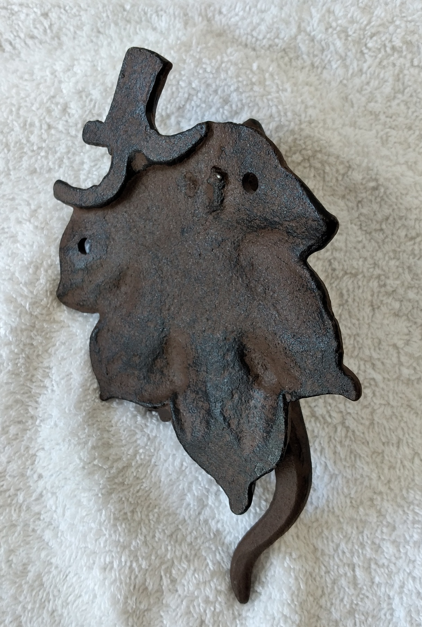 Aldraba salamandra  3