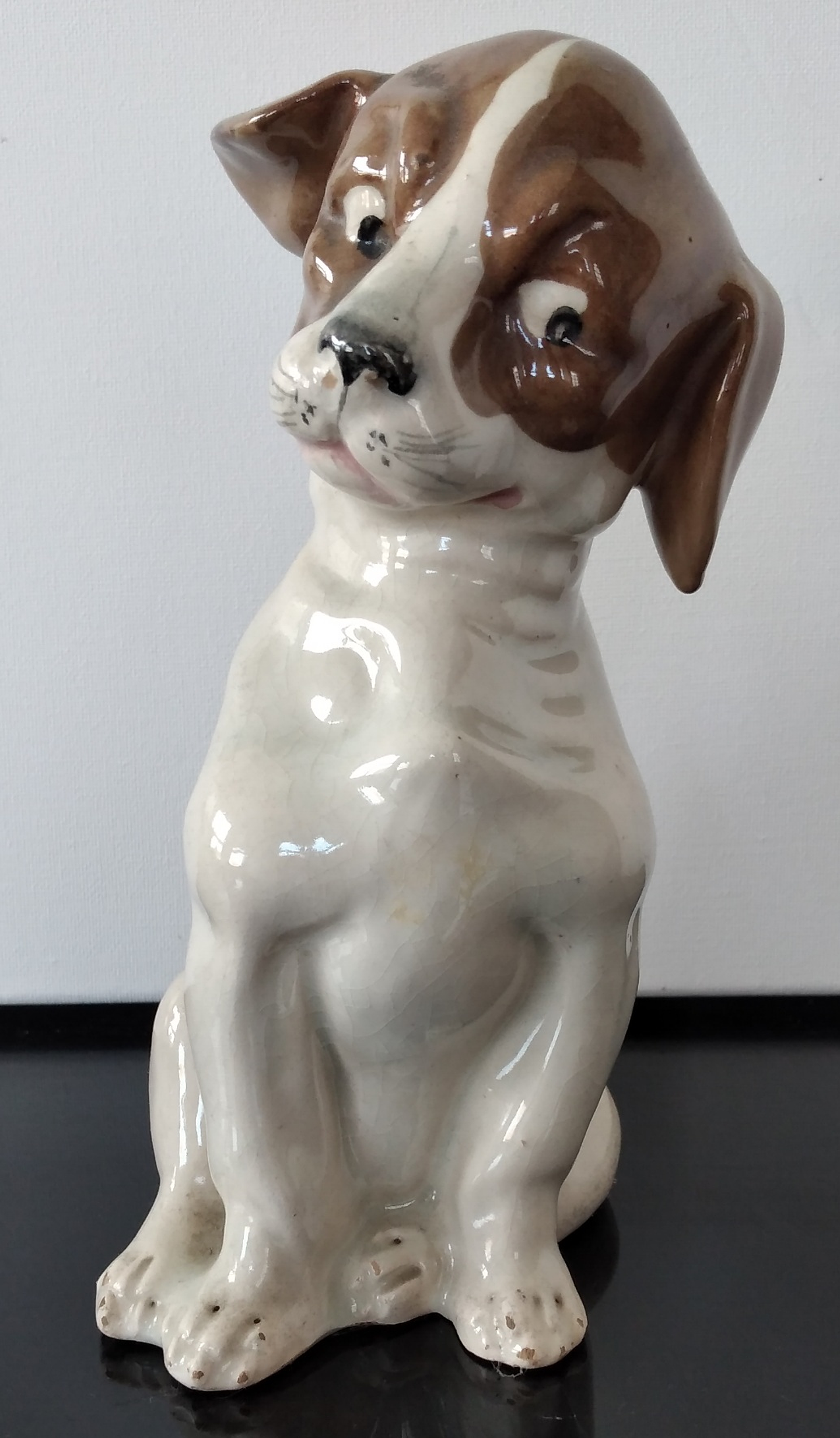 O cão desconfiado  1