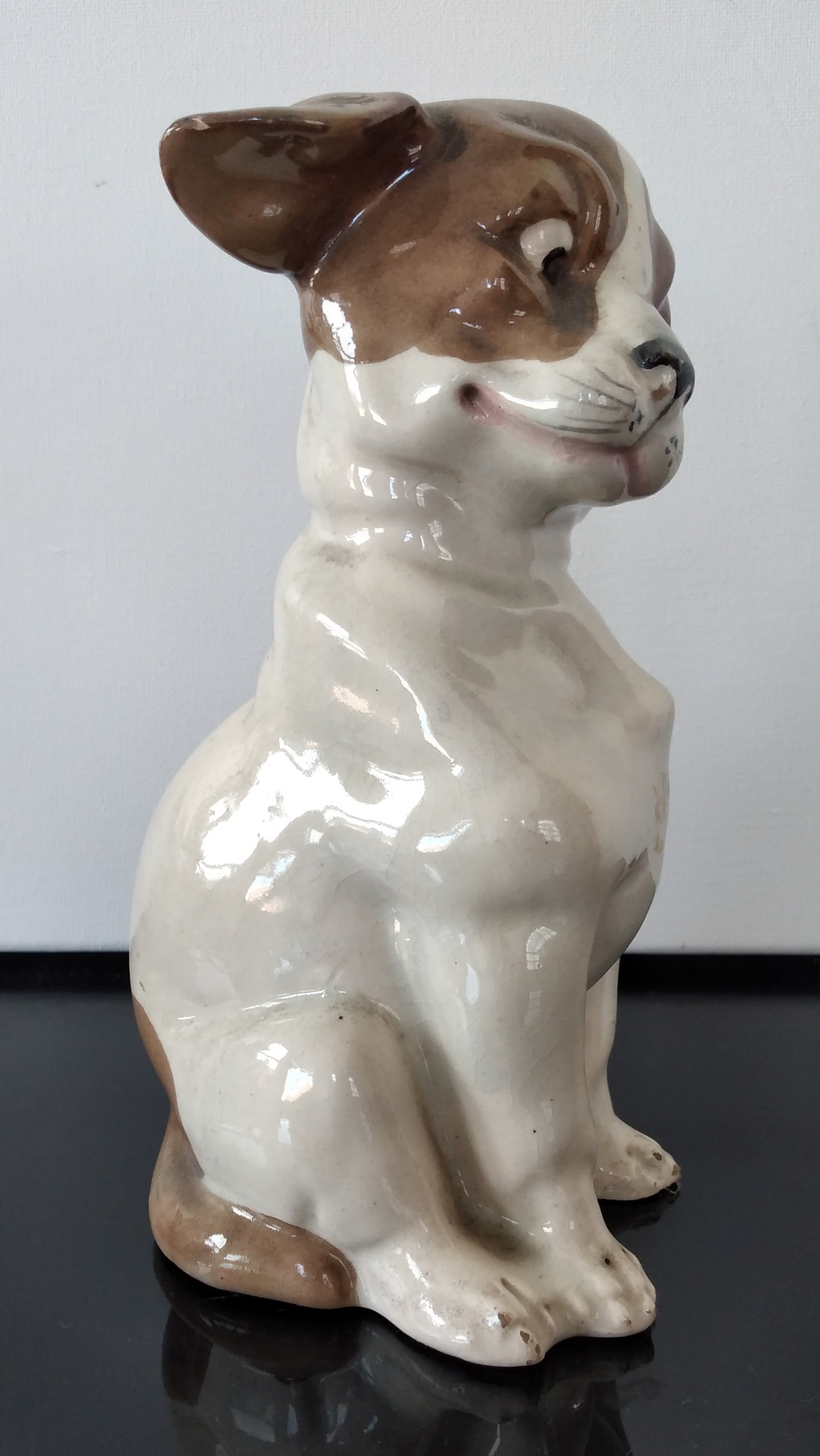 O cão desconfiado  2