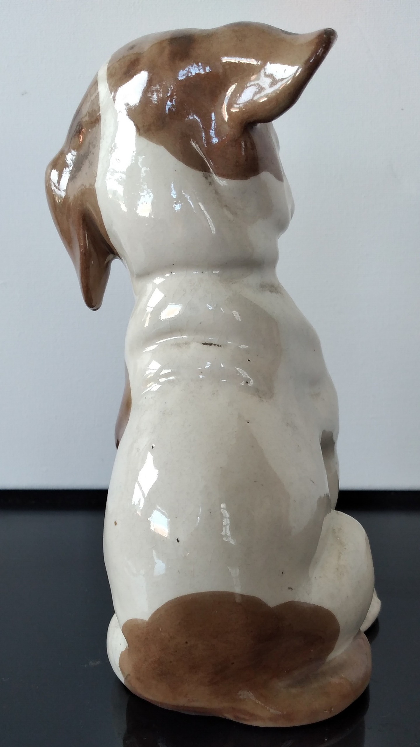 O cão desconfiado  3