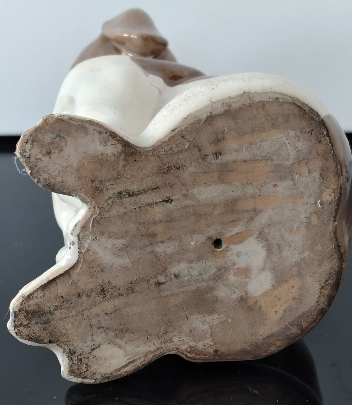 O cão desconfiado  4