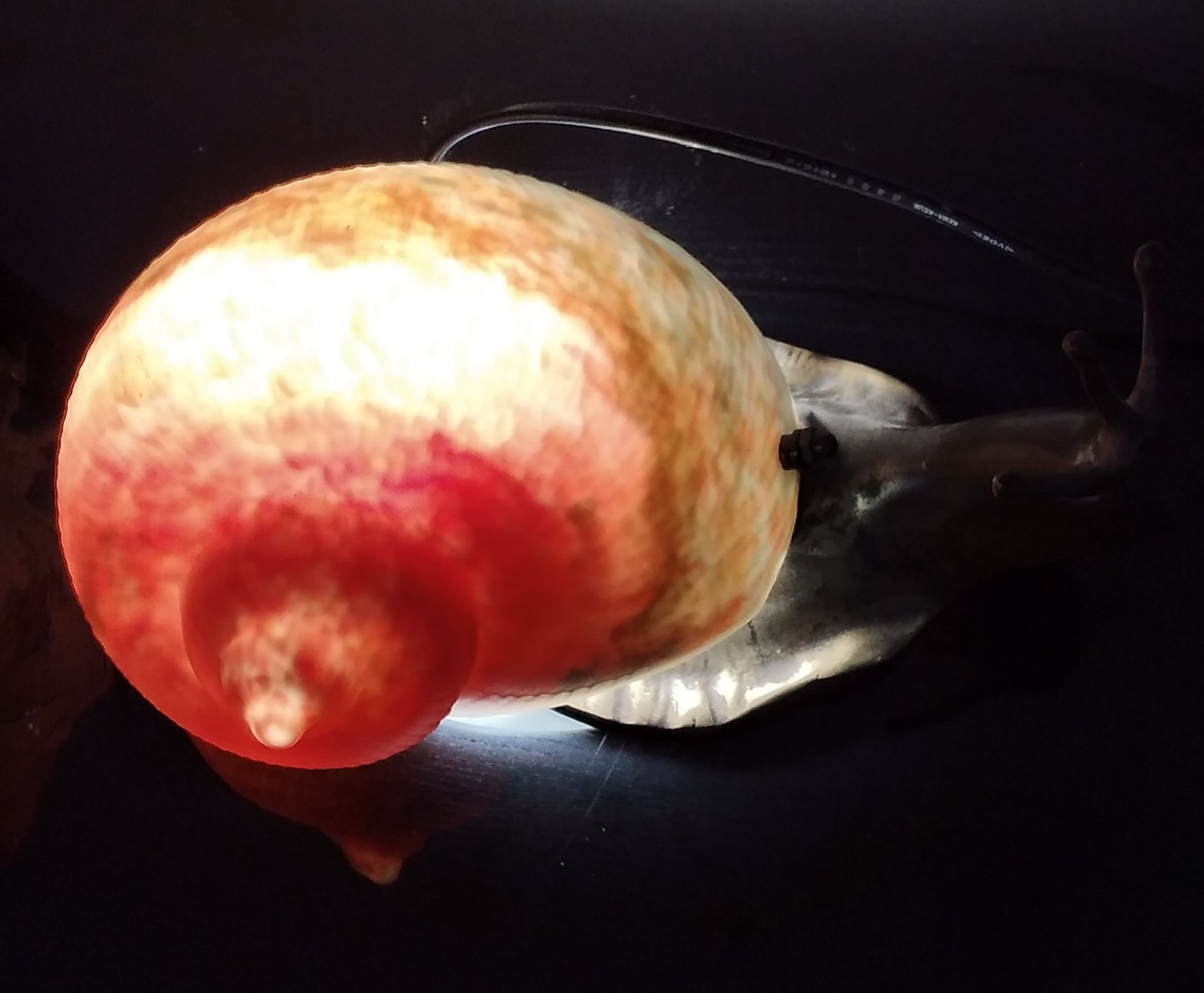 Candeeiro de mesa, caracol 5