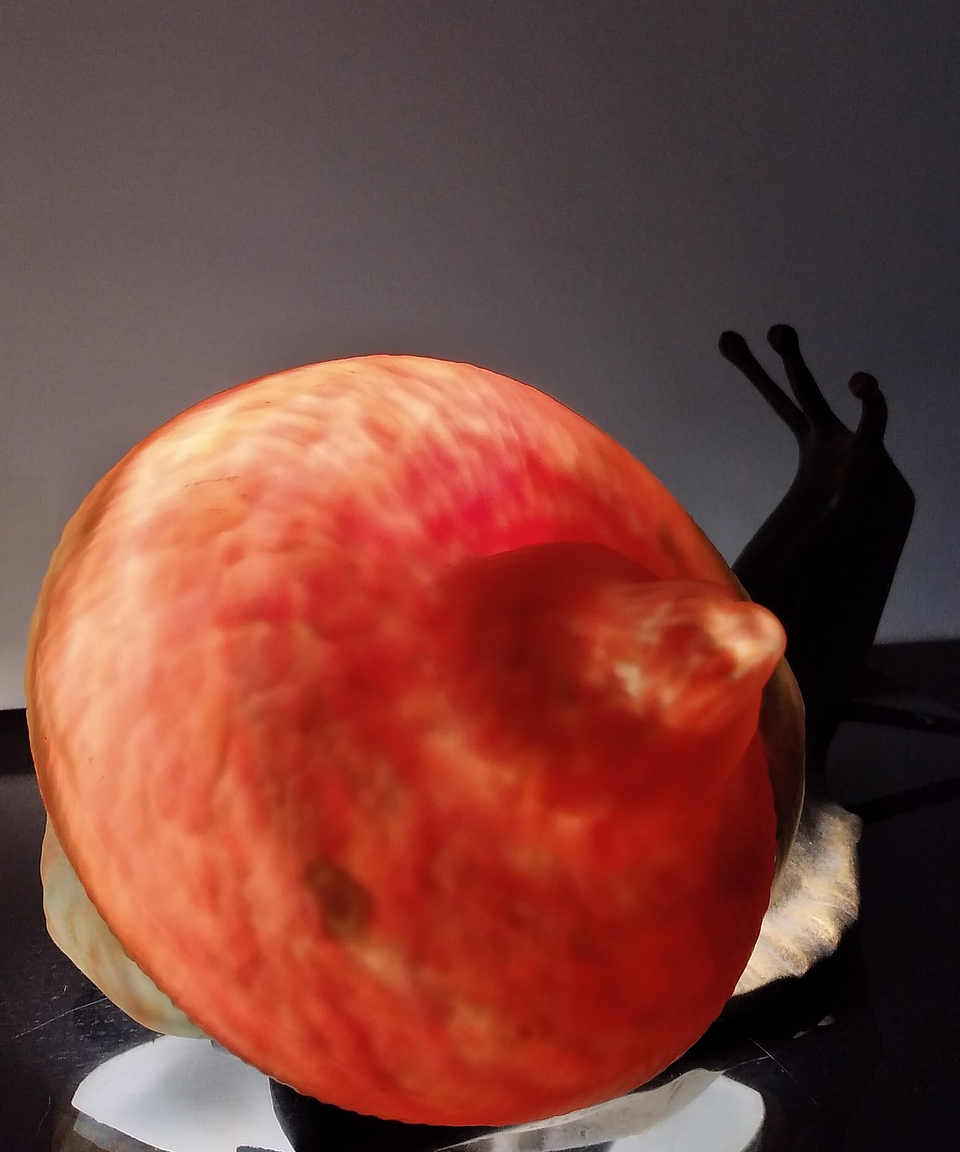 Candeeiro de mesa, caracol 7