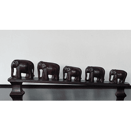 Manada de elefantes africanos 
