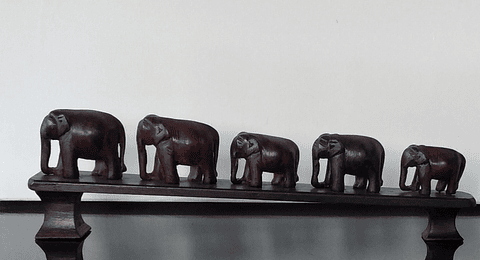 Manada de elefantes africanos 