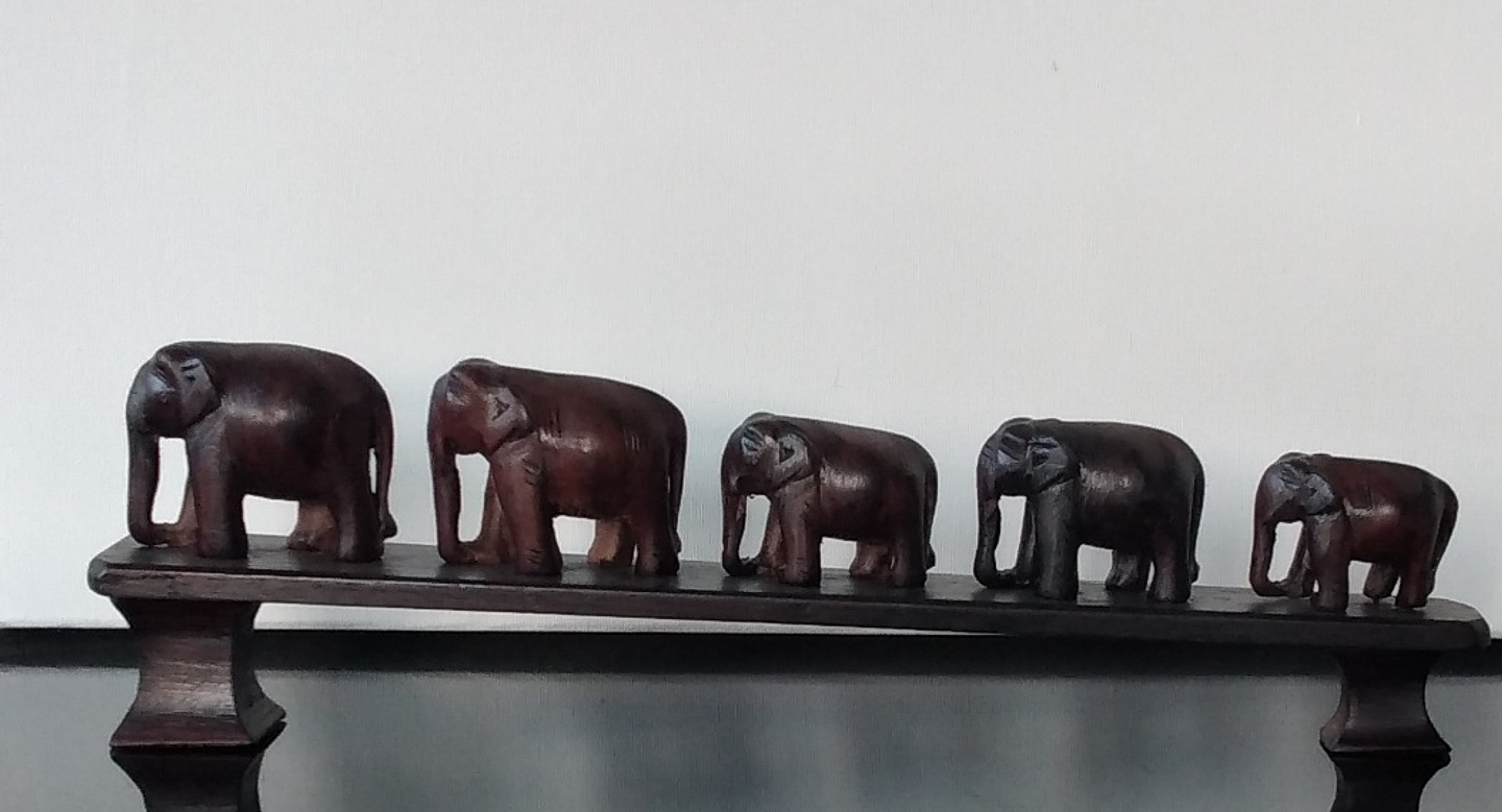 Manada de elefantes africanos  1