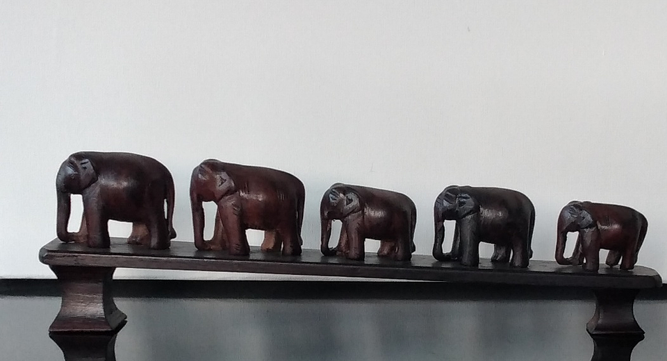 Manada de elefantes africanos  1