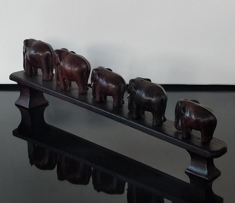 Manada de elefantes africanos  2