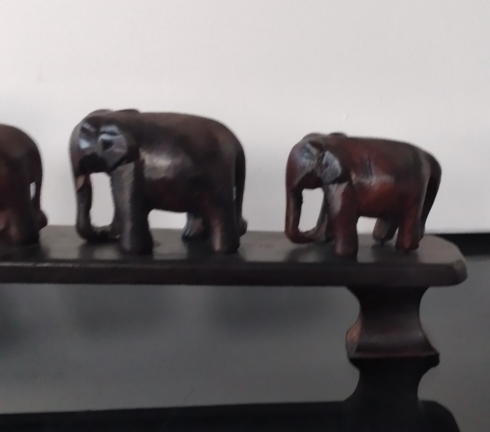 Manada de elefantes africanos  3