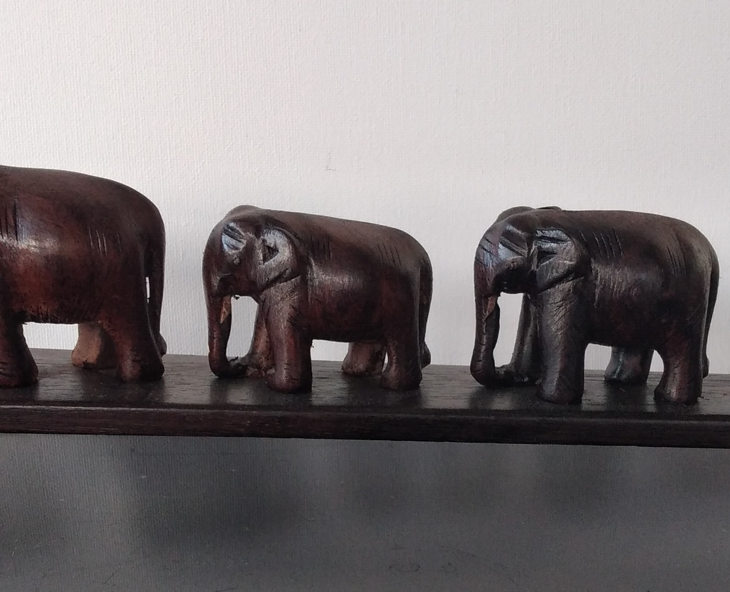 Manada de elefantes africanos  4