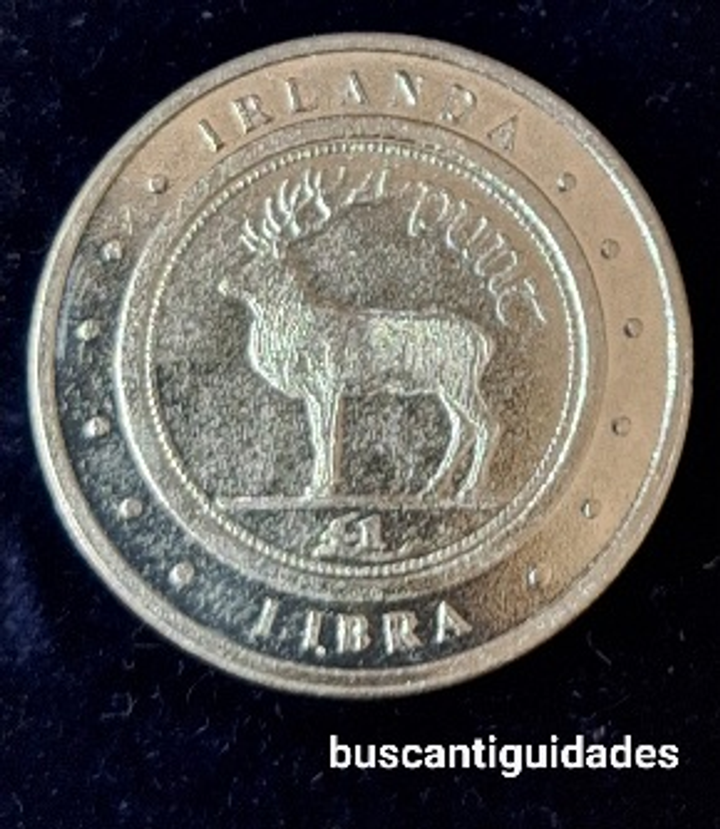 Moeda, Irlanda, Libra 1