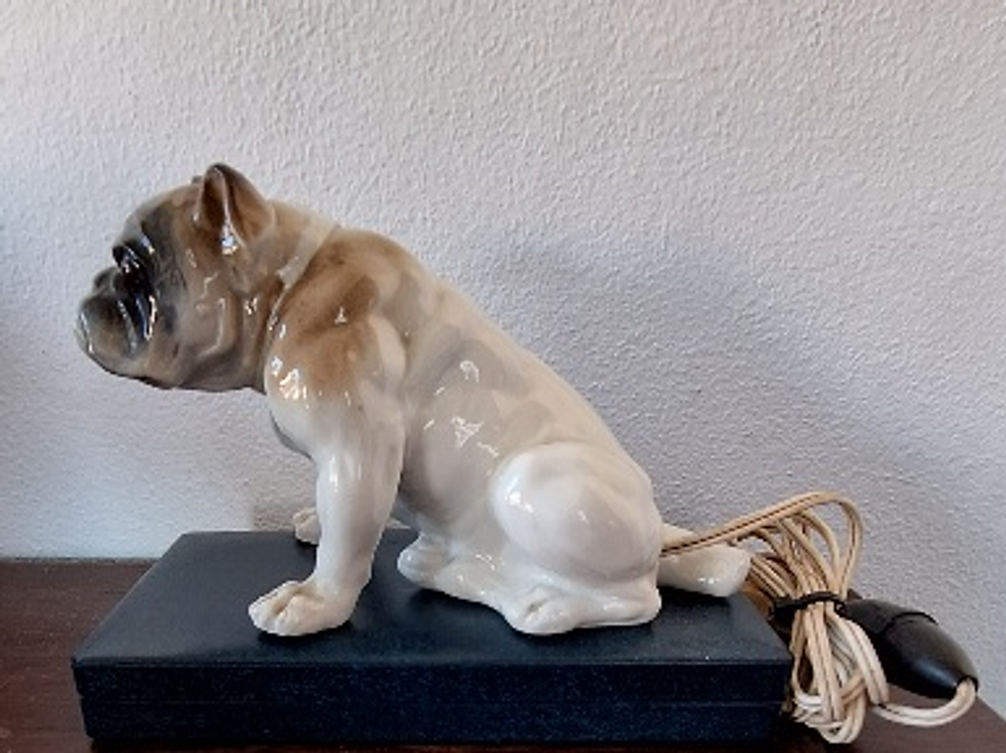 Cão em porcelana, ponto de luz 1