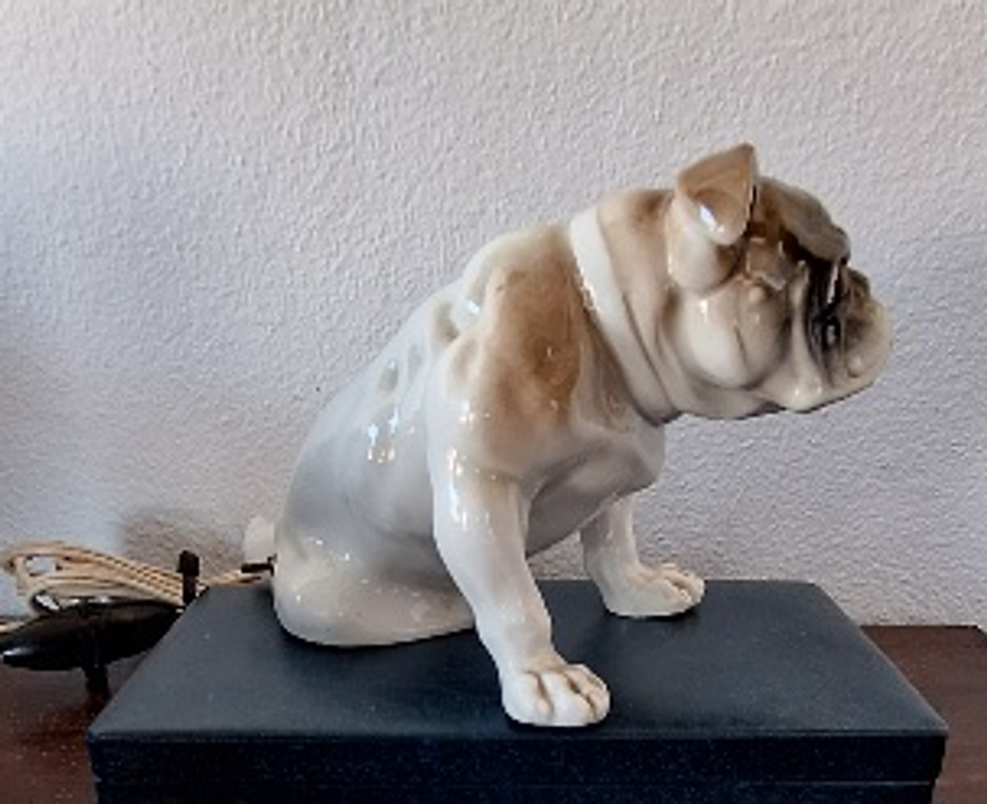 Cão em porcelana, ponto de luz 4
