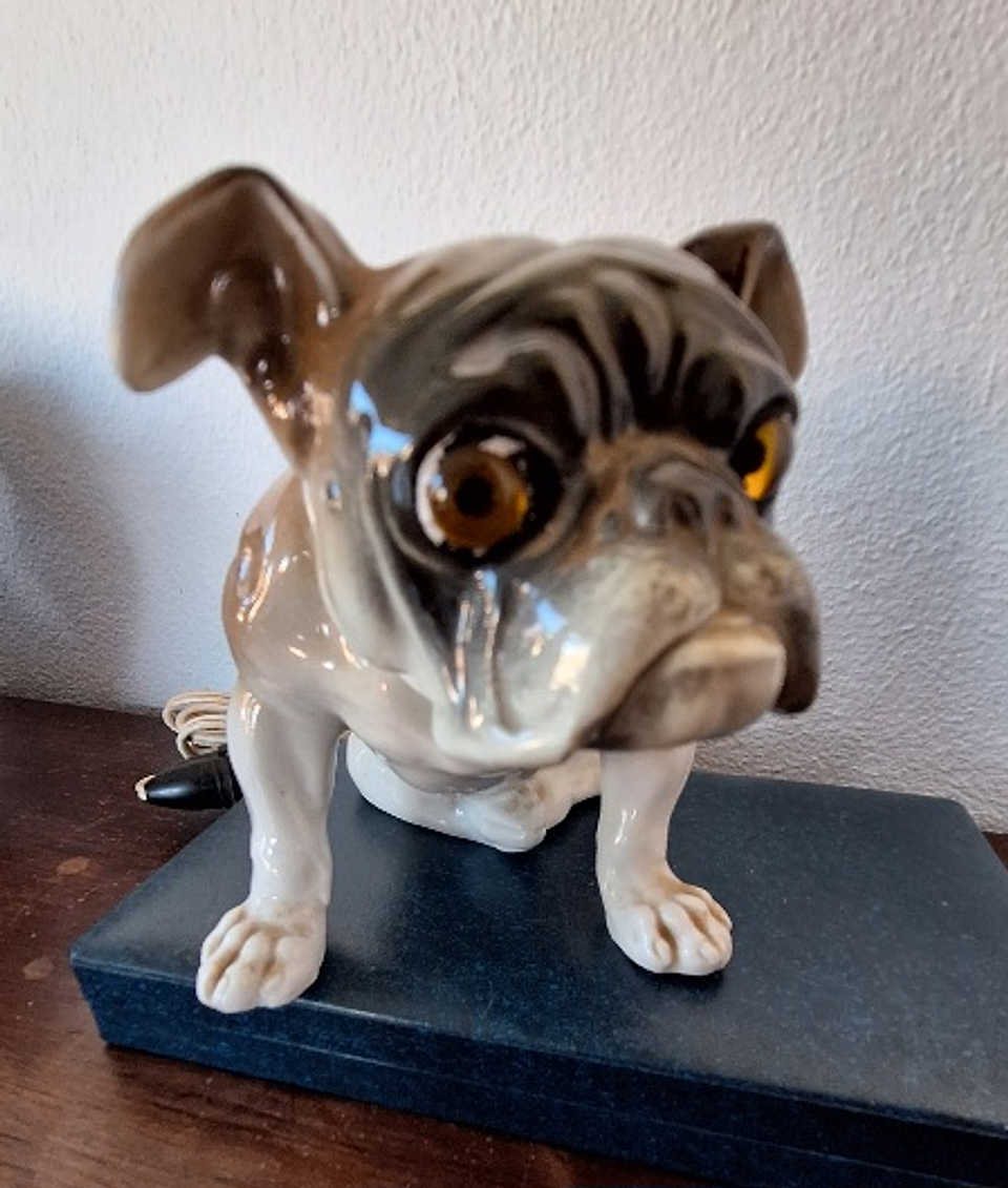Cão em porcelana, ponto de luz 6