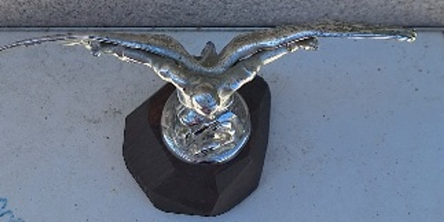 Mascote de automóvel  11