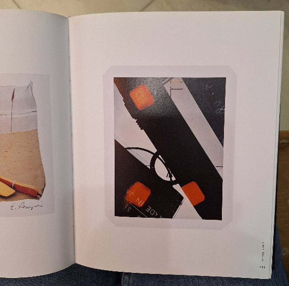 Livro, The Polaroid Book, Steve Crist 2