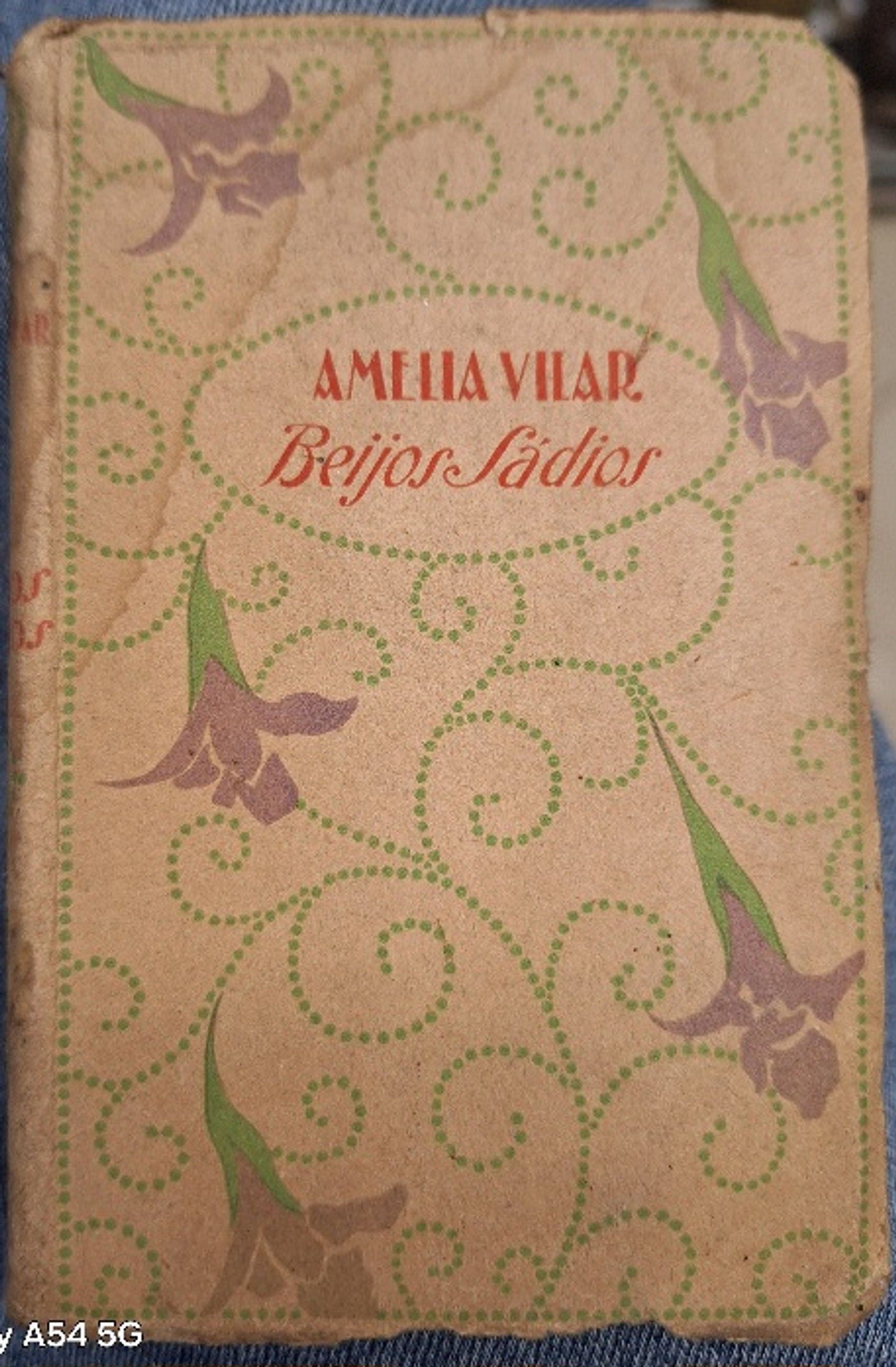 Livro,  Beijos Sàdios 1