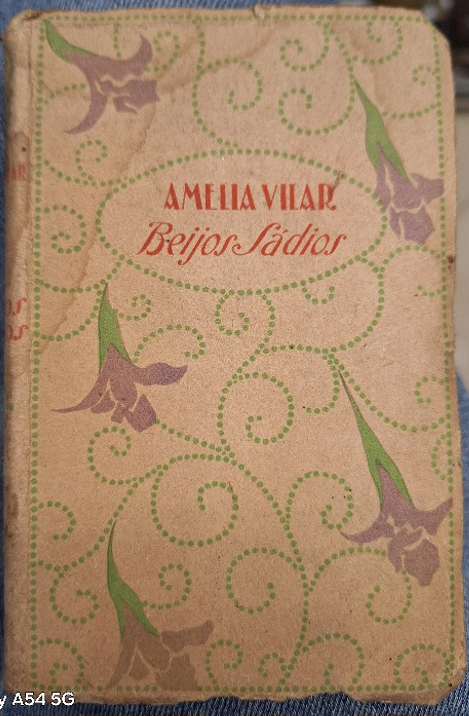 Livro,  Beijos Sàdios 1