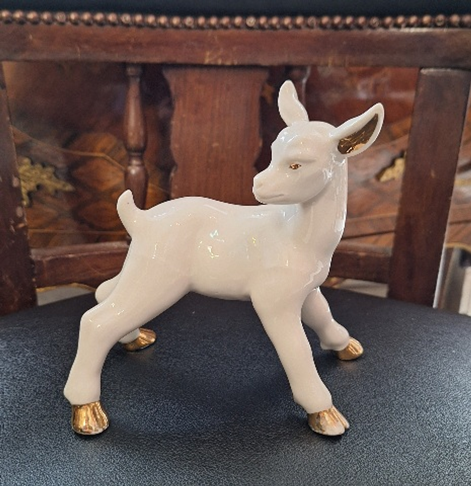 Jovem Cabra em porcelana  8