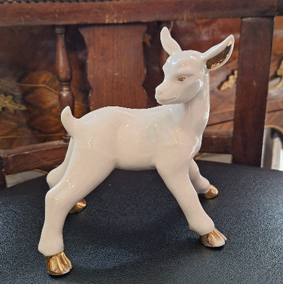 Jovem Cabra em porcelana  9