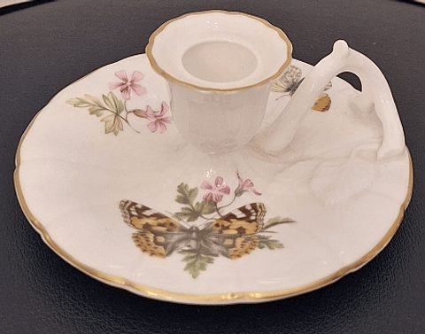 Palmatória inglesa, Butterflies