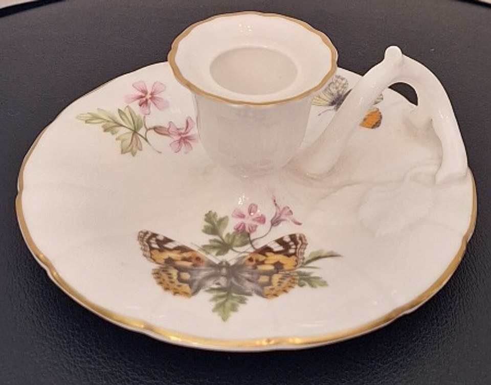 Palmatória inglesa, Butterflies 1