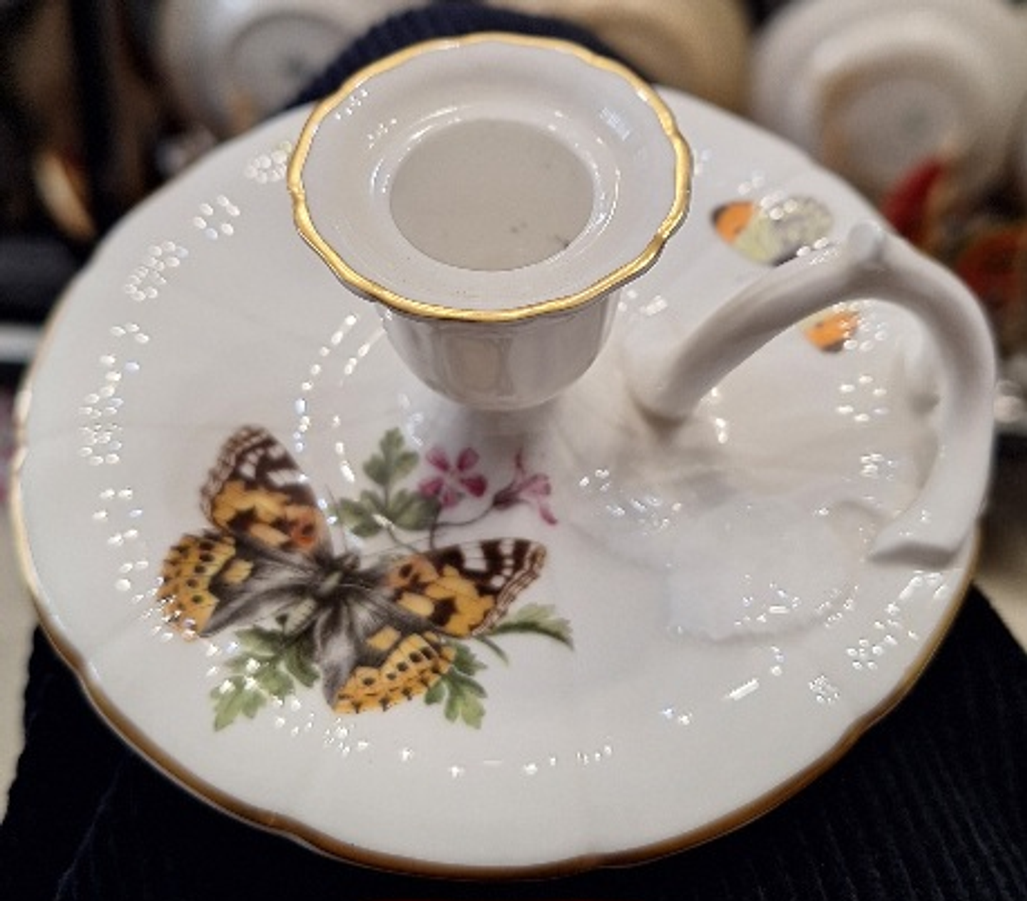 Palmatória inglesa, Butterflies 4