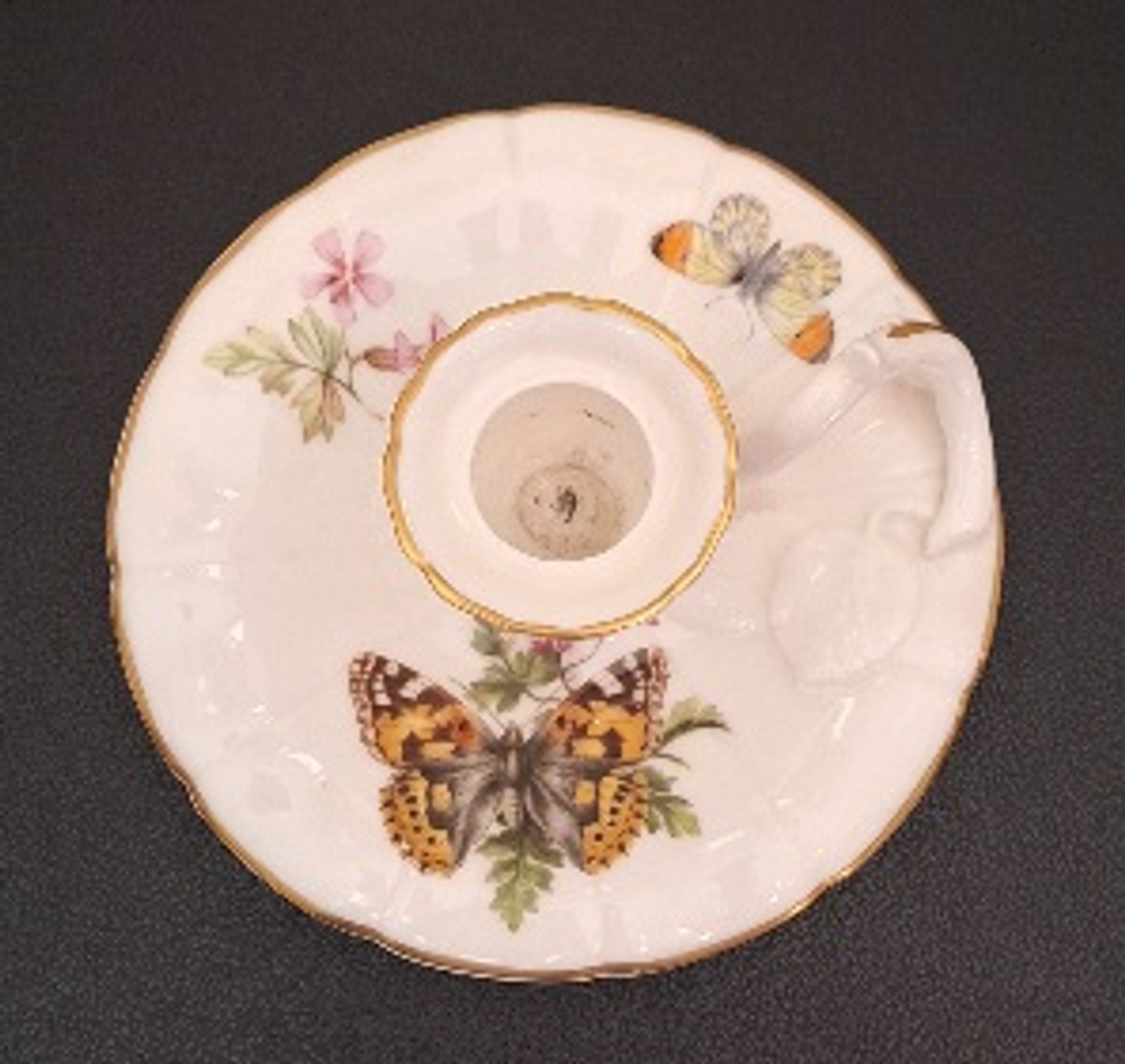 Palmatória inglesa, Butterflies 6