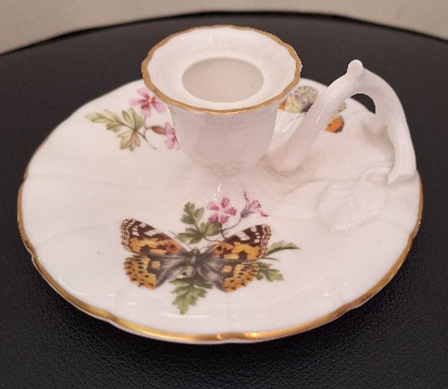 Palmatória inglesa, Butterflies 7