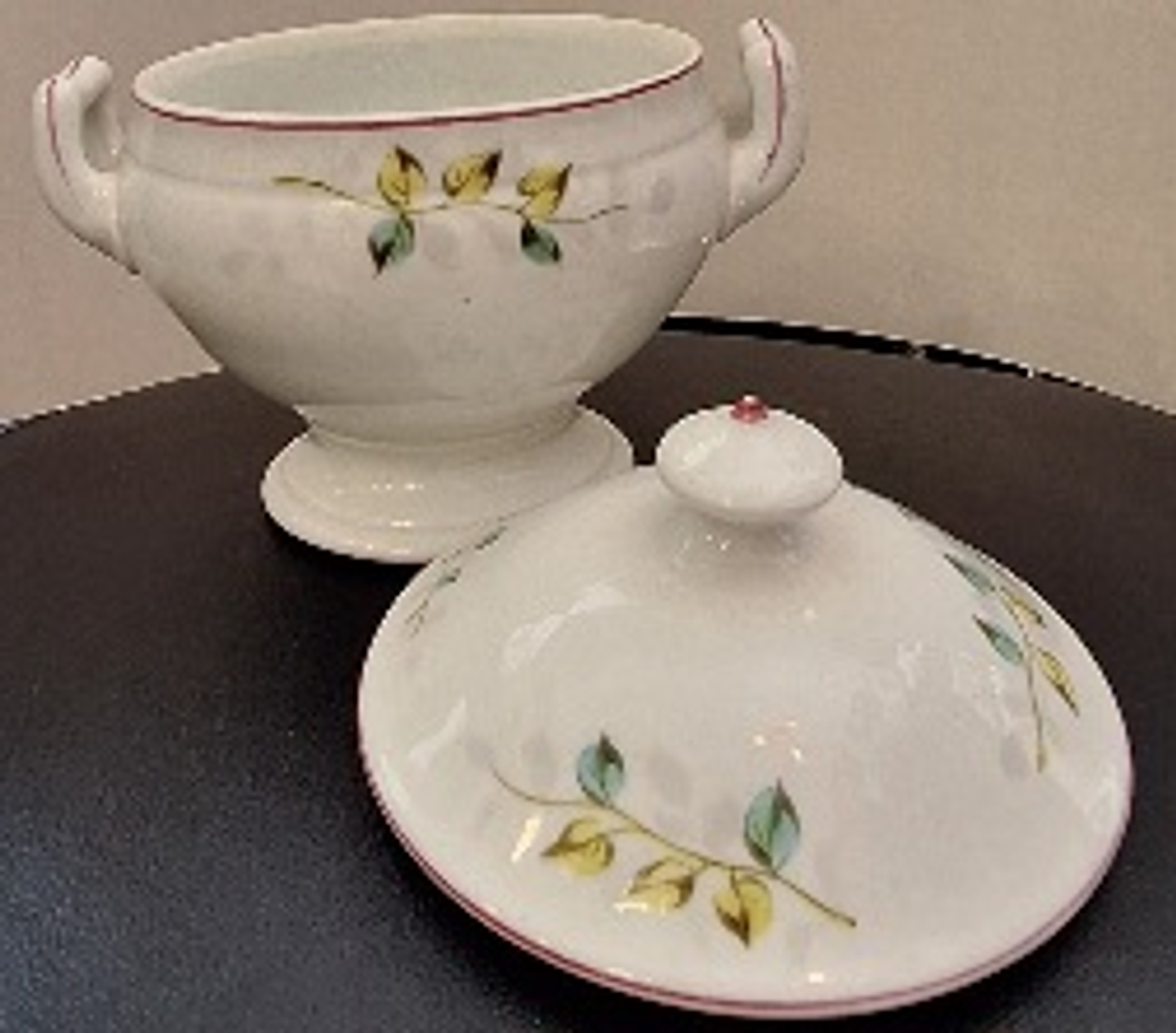 Terrina molheira Vista Alegre  5