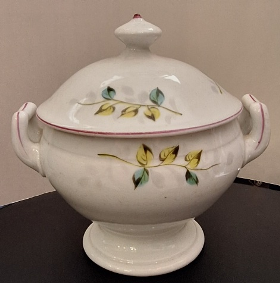 Terrina molheira Vista Alegre  7