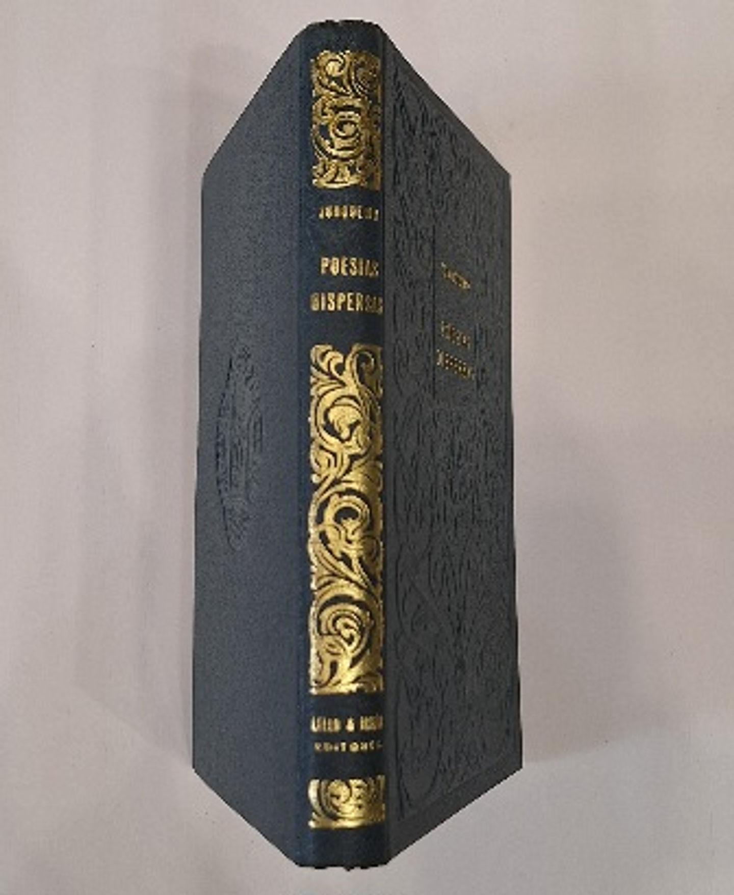 livro, Poesias Dispersas, Guerra Junqueiro, Lello  2