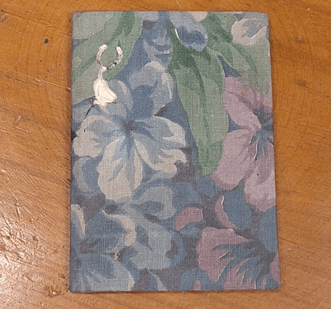 Livro,  Pensamentos,  Júlio Diniz