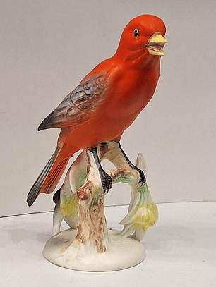 Pássaro Tanager - Japão 