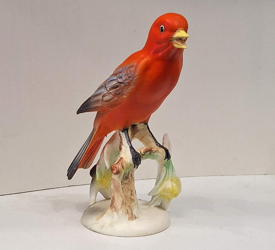 Pássaro Tanager - Japão  1