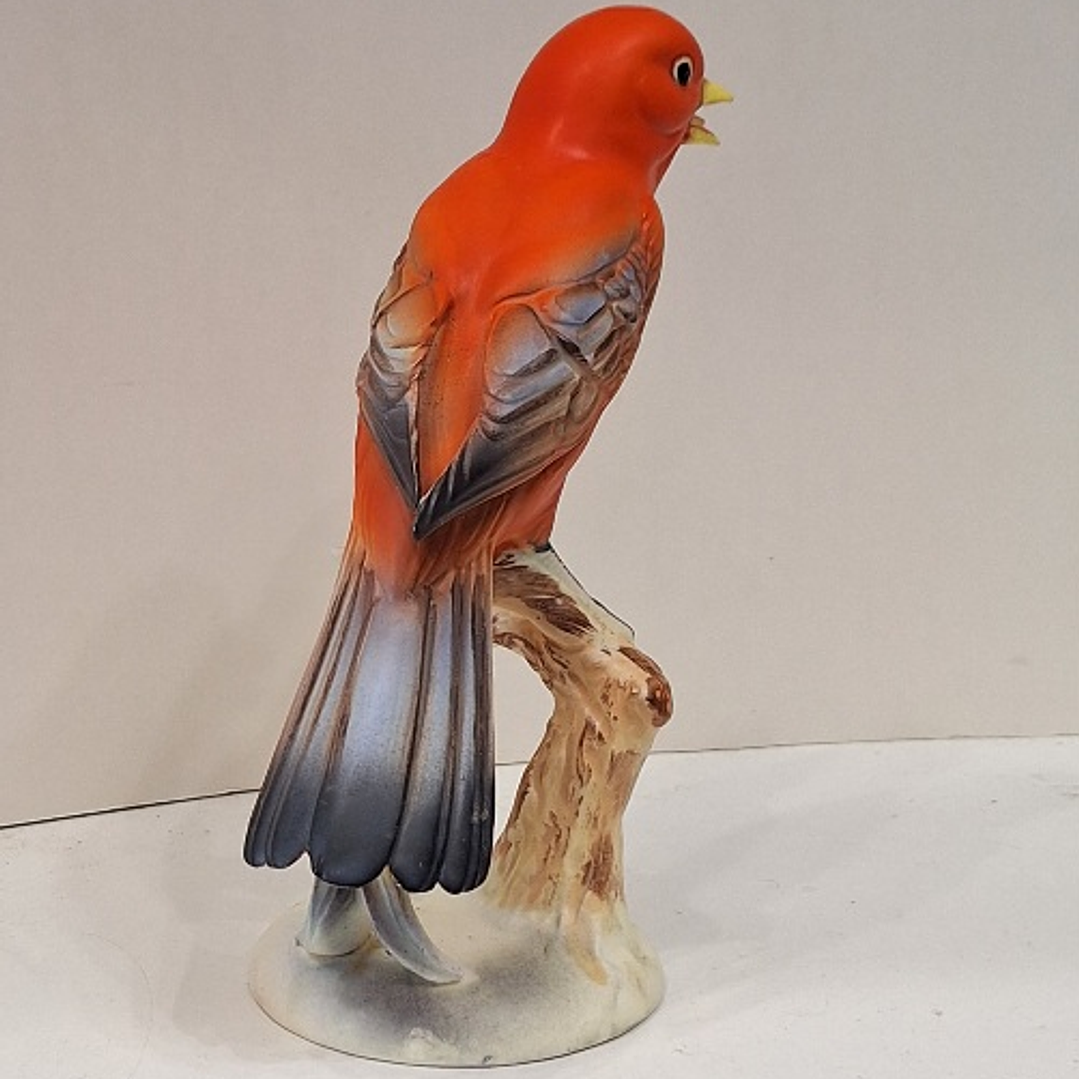 Pássaro Tanager - Japão  2