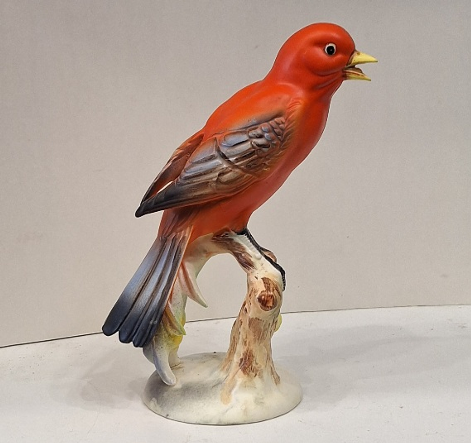 Pássaro Tanager - Japão  3