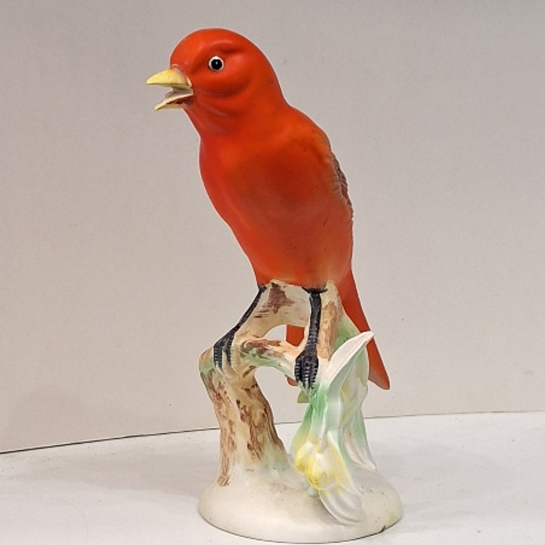 Pássaro Tanager - Japão  4