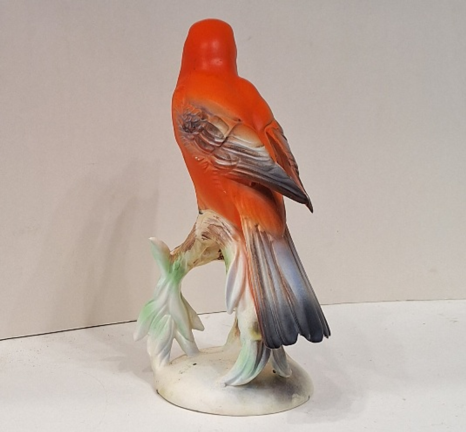 Pássaro Tanager - Japão  5