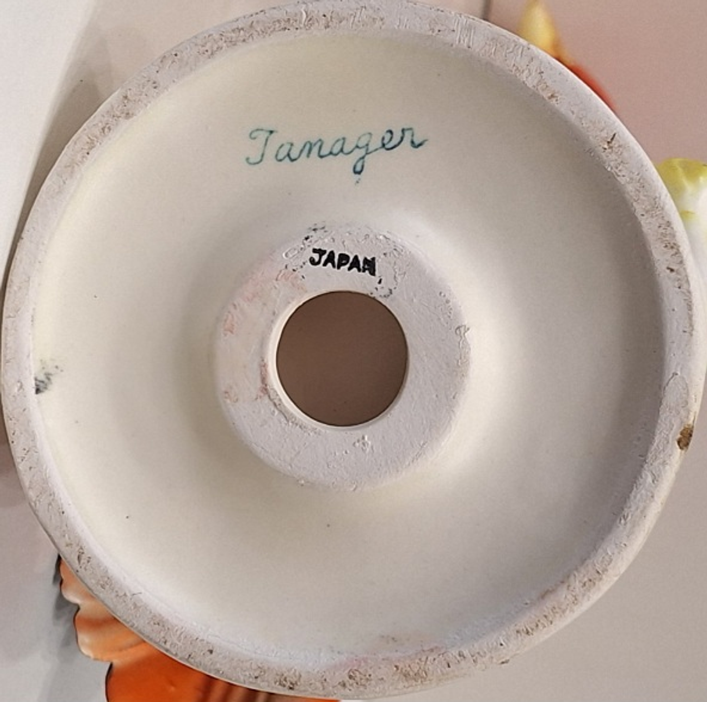 Pássaro Tanager - Japão  8