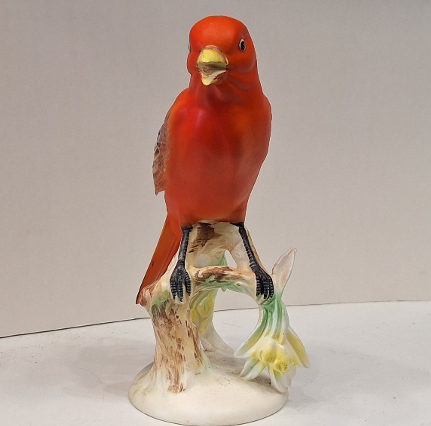 Pássaro Tanager - Japão  9