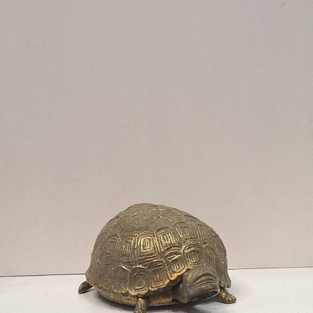 Caixa porta-Jóias,  tartaruga  3