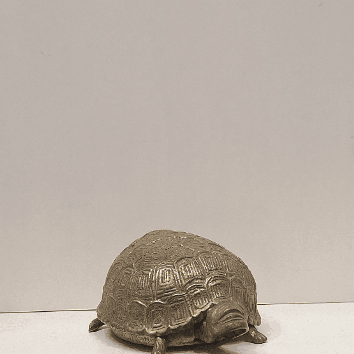 Caixa porta-Jóias,  tartaruga  3