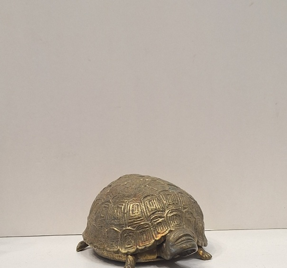 Caixa porta-Jóias,  tartaruga  3