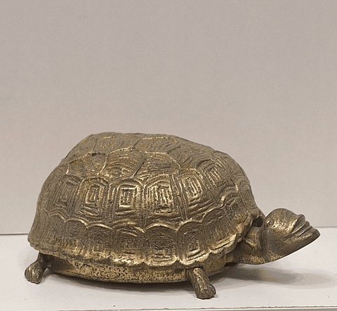 Caixa porta-Jóias,  tartaruga 